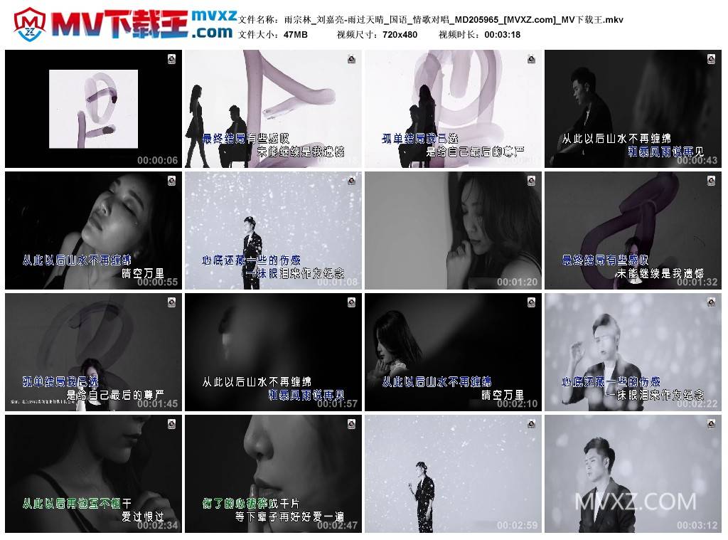 雨宗林_刘嘉亮-雨过天晴_国语_情歌对唱_MD205965